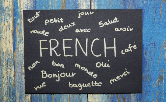 Jakie znaczenie mają quizy i testy w procesie nauki online francuskiego?