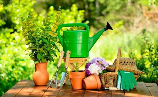 Artykuły ogrodnicze, które ułatwią pielęgnację dla roślin