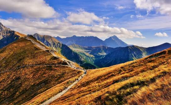 Jak transport w Krynicy-Zdroju obsługuje transfery na lotnisko?