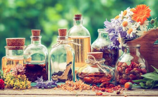 Jakie ziołowe wyciągi wspierają układ pokarmowy?