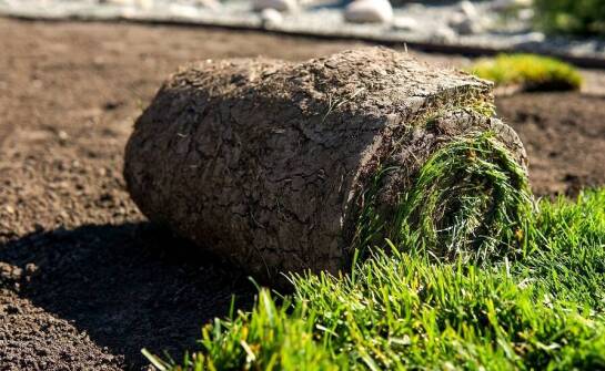 Jakie korzyści przynosi trawa z rolki w kontekście ochrony środowiska?