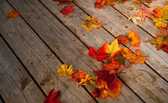 Poplonowe nasiona jako narzędzie adaptacji rolnictwa do zmieniającego się klimatu