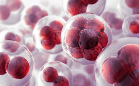 Jak komórki macierzyste pomagają w walce ze oznakami starzenia?