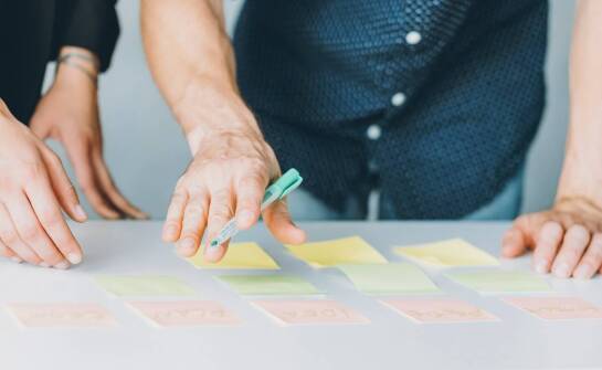 Proces planowania projektów zastępczych nasadzeń drzew: kluczowe kroki