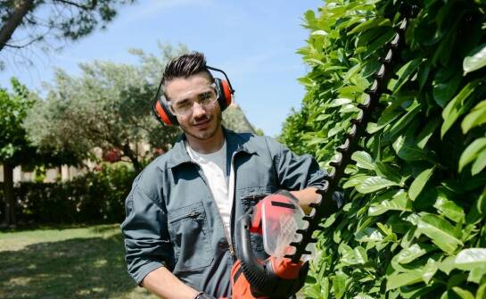 Bezpieczne usuwanie szerszeni gniazd: co warto wiedzieć?