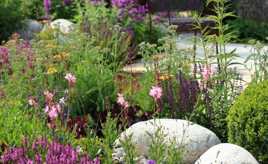 Znaczenie domków dla pszczół w ochronie zapylających owadów