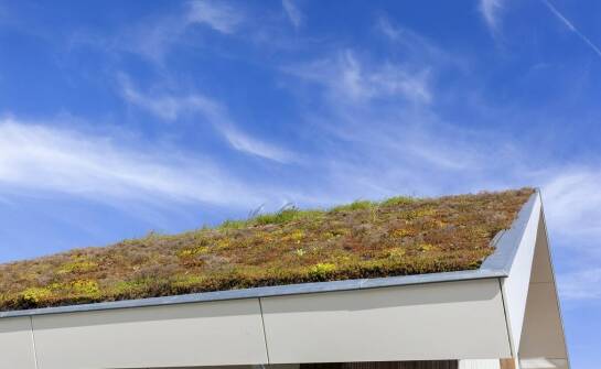 Mycie dachu: wpływ na poprawę jakości powietrza wewnątrz budynku