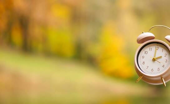 Najlepsze karmniki dla różnych ptaków gatunków