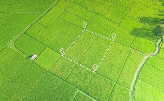 Wytyczenie granic działki a prawna ochrona właściciela nieruchomości