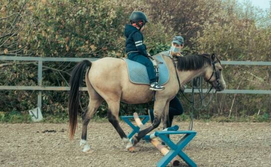 Jazda konna dla dzieci w Poznaniu: bezpieczne i zabawne zajęcia