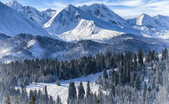 Zimowe konne obozy w Poznaniu: Co warto wiedzieć przed zapisaniem się?