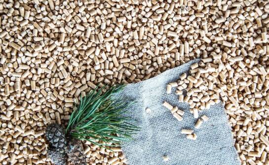 Czynniki wpływające na jakość pelletu – co warto wiedzieć?