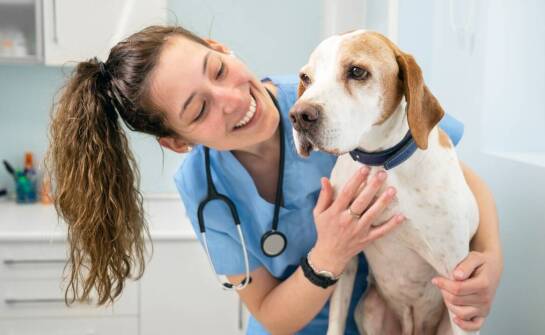 Rola profilaktyki zdrowotnej w opiece weterynaryjnej oferowanej przez weterynarza w Mrozach