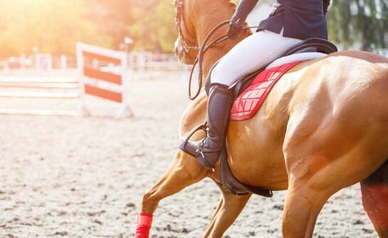 Nauka jazdy konnej w Poznaniu: Jakie korzyści przynosi regularny trening?