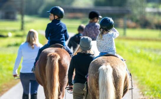 Obozy jeździeckie dla dorosłych: Relaks i nauka w stajniach w Poznaniu