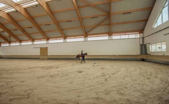 Znaczenie regularnej konserwacji piaskowego podłoża na ujeżdżalniach