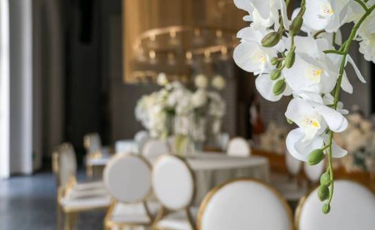 Jak prywatny ogród przy sali weselnej tworzy intymną atmosferę?