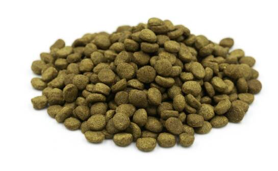 Jakie składniki zawiera Puppy Orijen i dlaczego są ważne?