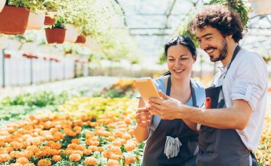 Praca sezonowa w Niderlandach: jakie są najczęściej oferowane stanowiska?