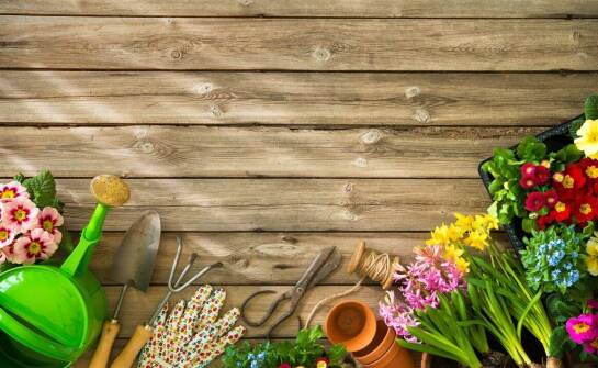 Jakie ogrodnicze narzędzia pomogą w aranżacji skalniaków?