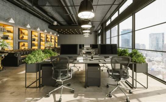 Czy wertykalny ogród wyciszy biuro typu open space?