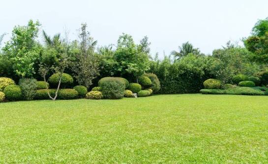 Projektowanie zieleni terenów: jak dobór materiałów wpływa na końcowy efekt?