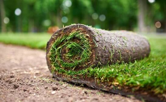 Zastosowanie trawy w rolkach na rekreacyjnych terenach: co warto wiedzieć?