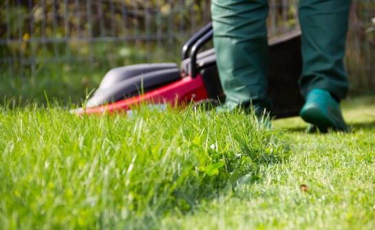 Kosiarki Vari w kontekście pielęgnacji ekonomicznej trawnika