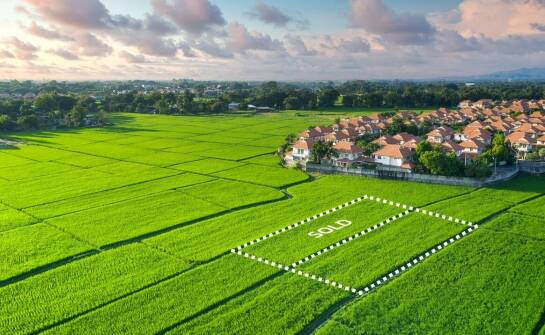 Jakie są trendy na rynku rolnych działek w malowniczych miejscach?