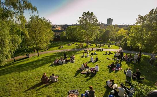 Jak trawa z rolki może przyczynić się do poprawy jakości życia w miastach?