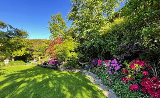 Jakie są kluczowe korzyści z zastosowania trawnika z rolki w ogrodach?