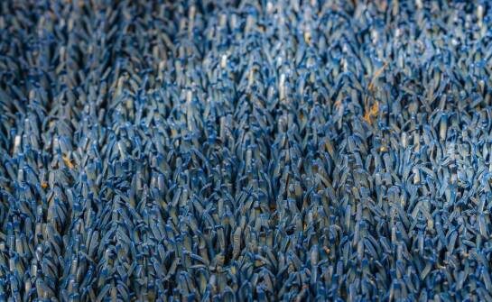 Advantages of Using Brush Entrance Mats in Sports Facilities