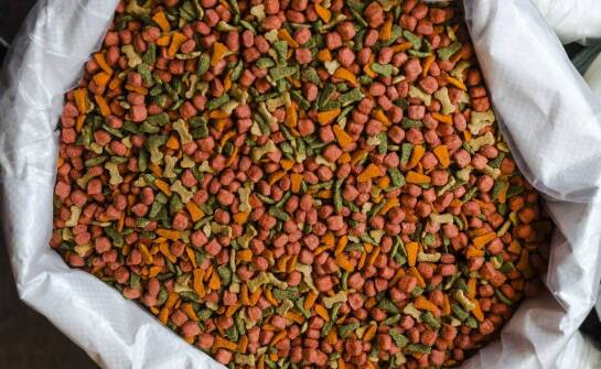 Mięsne składniki w Acana Classic Red – co warto wiedzieć?