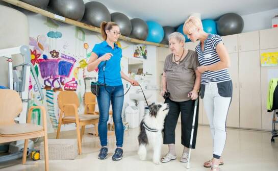 Rola opiekuna w procesie socjalizacji szczeniaka w przedszkolu dla psów