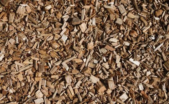 Drewno do wędzenia – jakie są najczęstsze błędy przy wyborze?