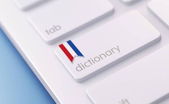 Przewodnik po użyciu słownika polsko-francuskiego w kontekście kulturowym