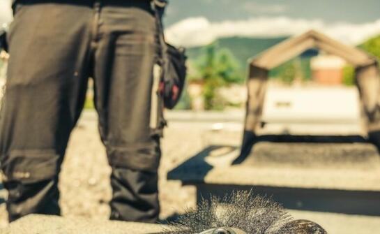 W jaki sposób dekarska firma optymalizuje koszty utrzymania dachu?