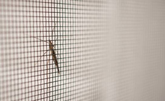 Jakie są najnowsze trendy w projektowaniu moskitier?