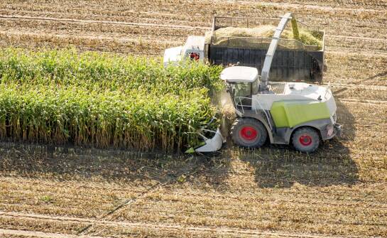 Worauf ist bei der Auswahl von Maispflück Einzugsketten für Maispflücker zu achten?