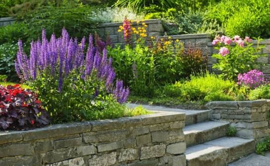 Innowacyjne rozwiązania w zakładaniu przydomowych ogrodów