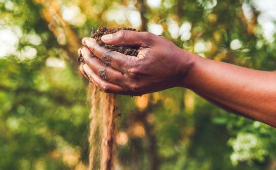 Jakie są najczęstsze błędy przy stosowaniu nawozowego wapna i jak ich uniknąć?