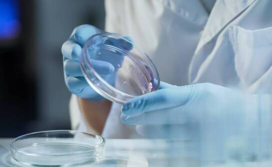 Znaczenie mechanicznej odporności dla efektywności szalek Petriego