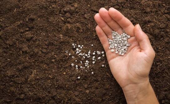 Zastosowanie granulowanego wapna w poprawie struktury gleby