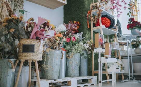 Sklep z ziołami: Wybór ziół do wsparcia układu nerwowego