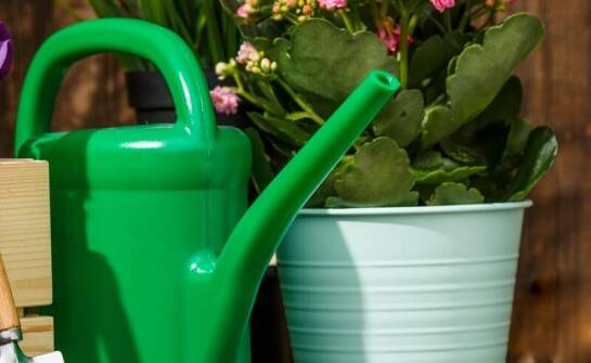 Optymalizacja pracy w ogrodzie dzięki odpowiednim narzędziom