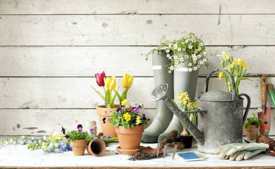 Jak wybrać najlepsze ogrodowe narzędzia do pielęgnacji roślin?