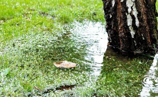Wie helfen Drainagematten, Oberflächen vor Wassererosion zu schützen?