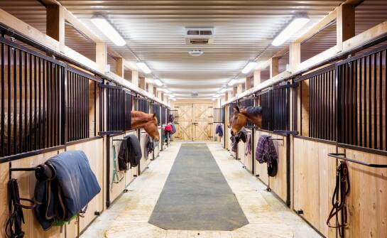 Warum sind Kunststoffmatten in Ställen und auf Pferdeausläufen unverzichtbar?