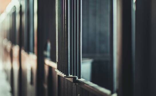 Jakie czynniki wpływają na wybór odpowiedniej hali do konnej jazdy?