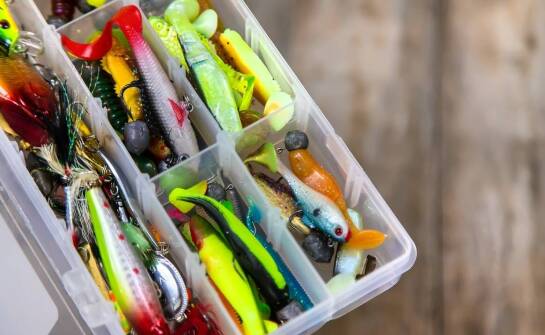 Kołowrotki do połowów słodkowodnych z przednim hamulcem – co wybrać?